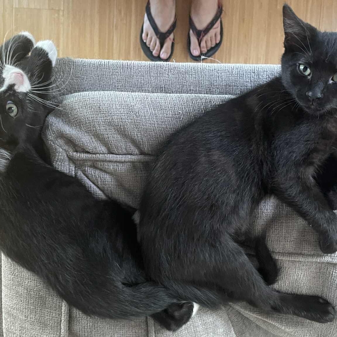 Zip and Zap