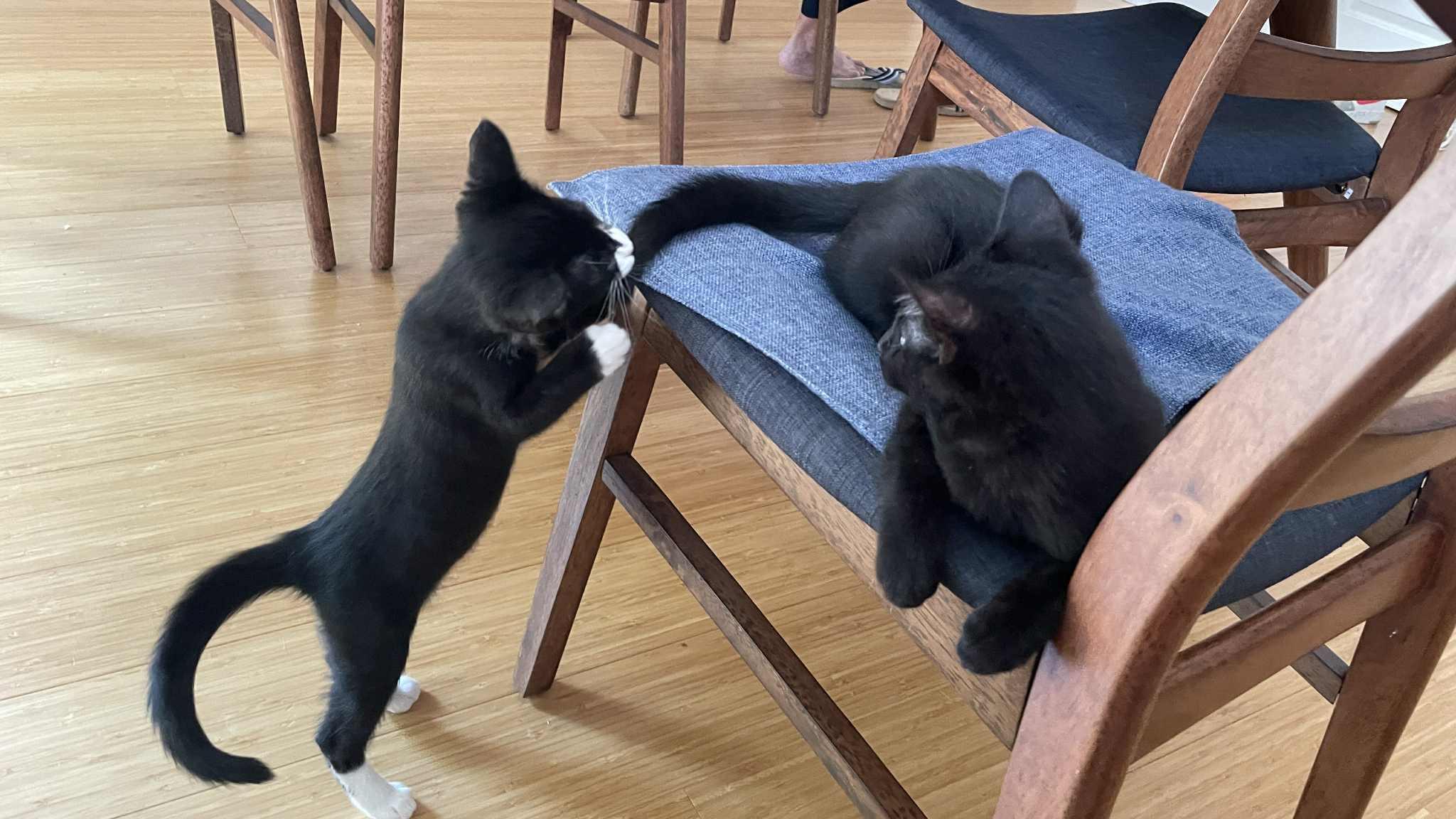 Zip and Zap
