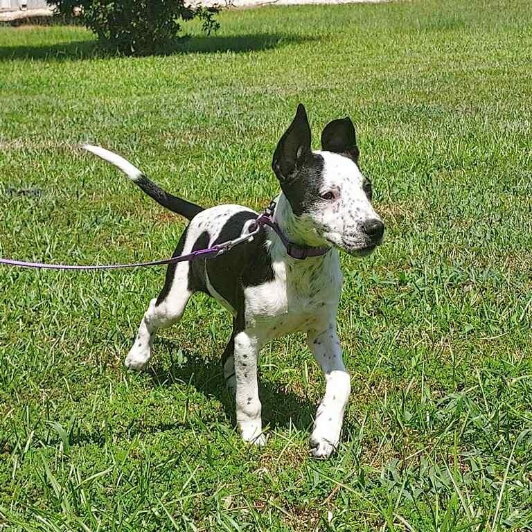 Kenzie - in foster home