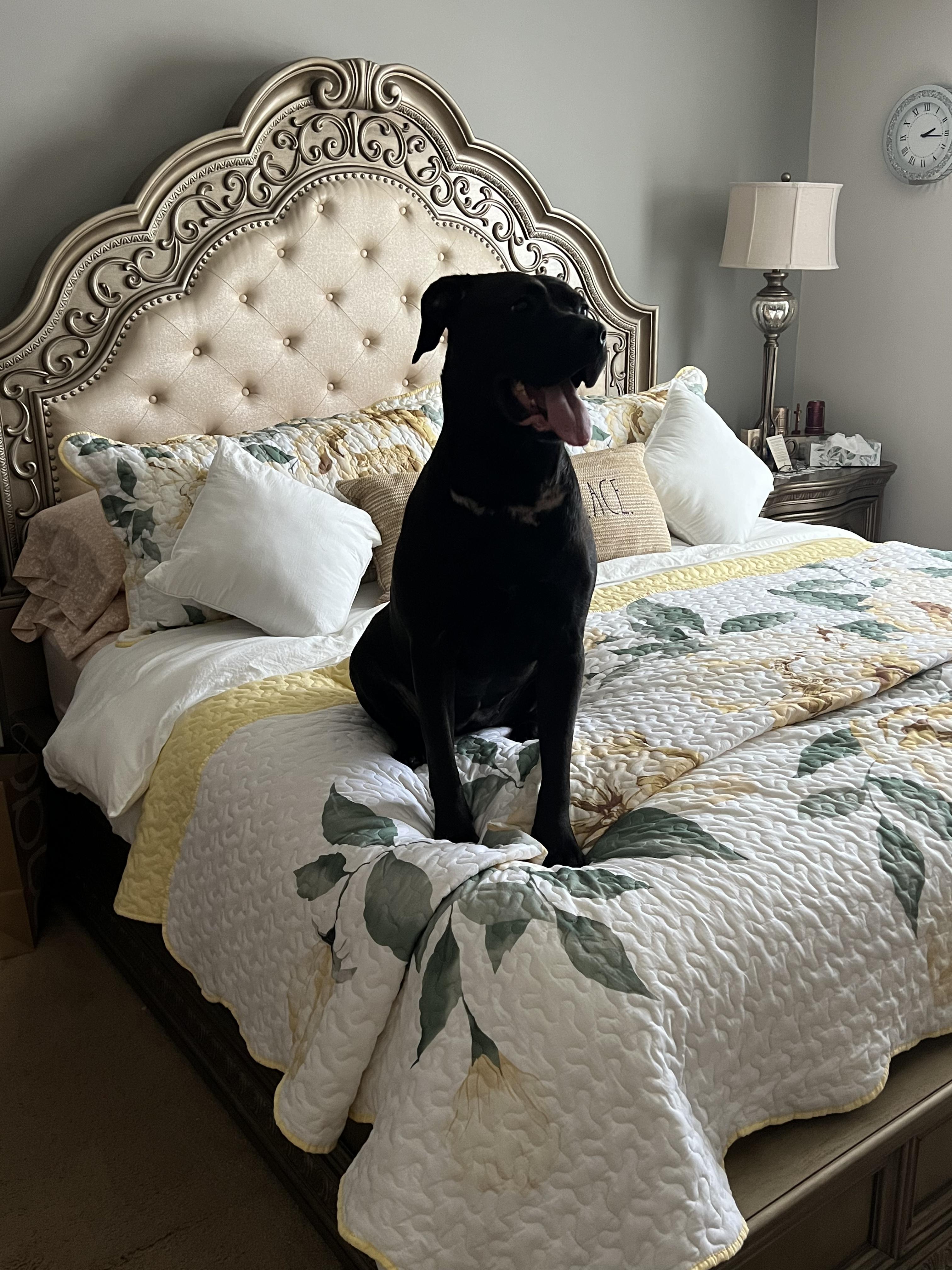 COCO