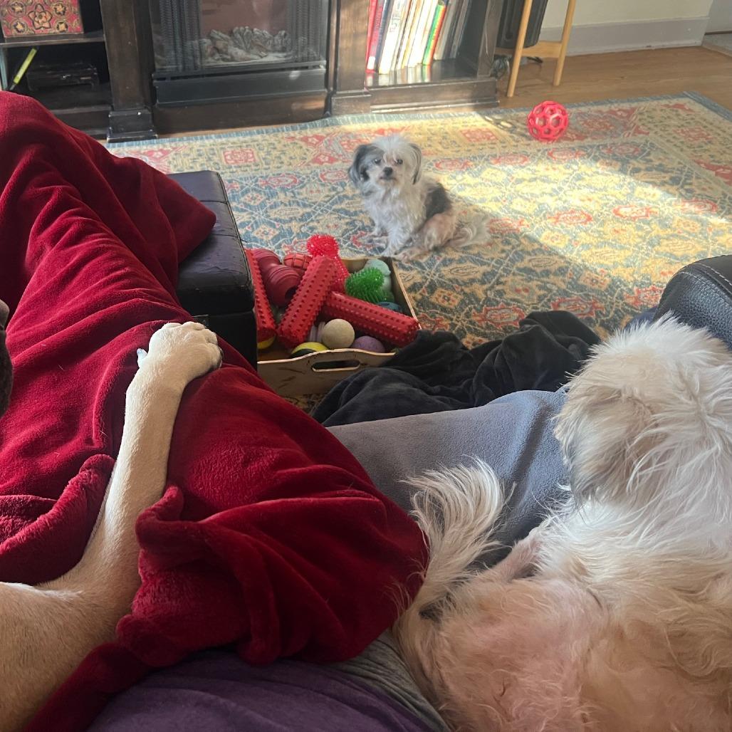 Geno Bonded With Anna