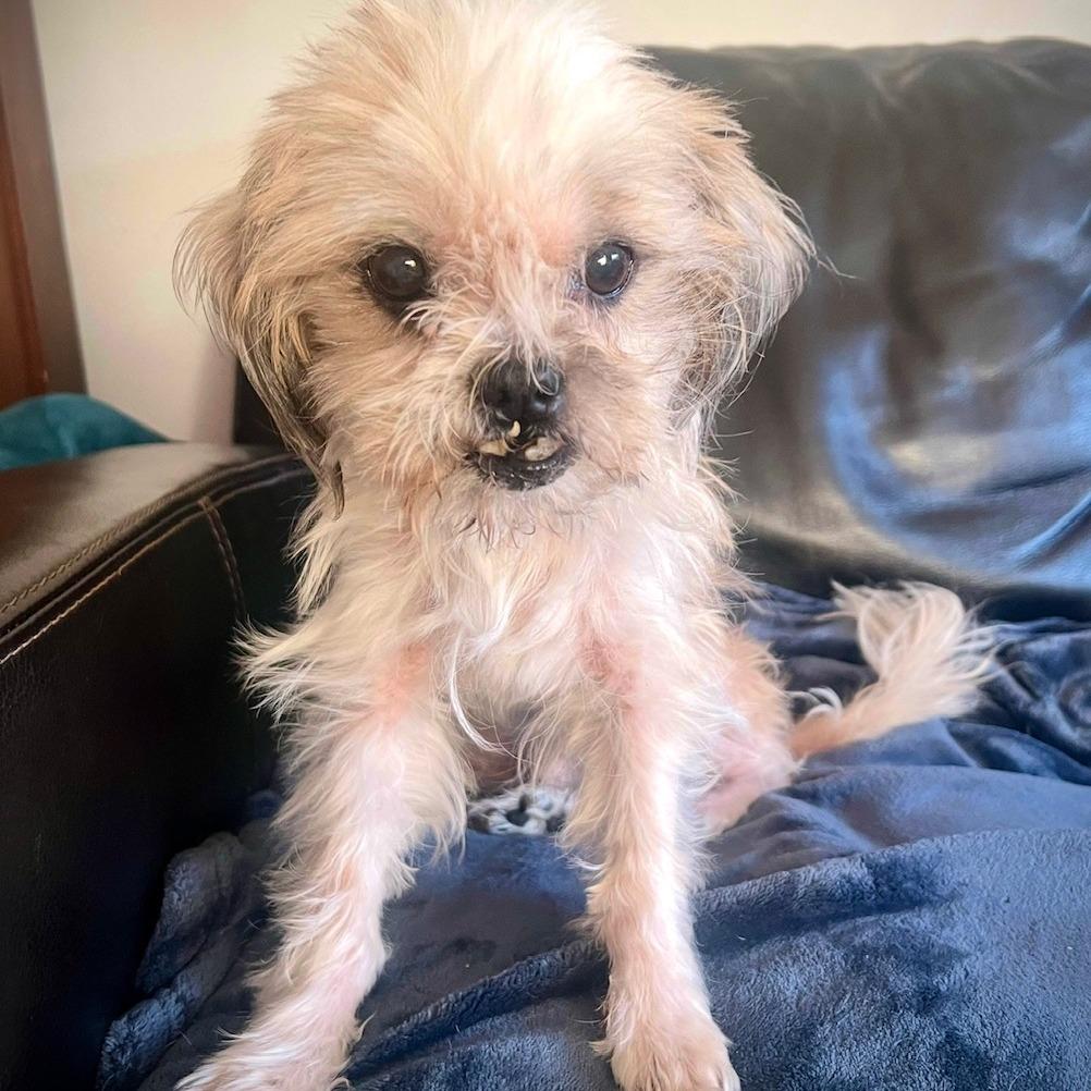 Geno Bonded With Anna thumbnail 2