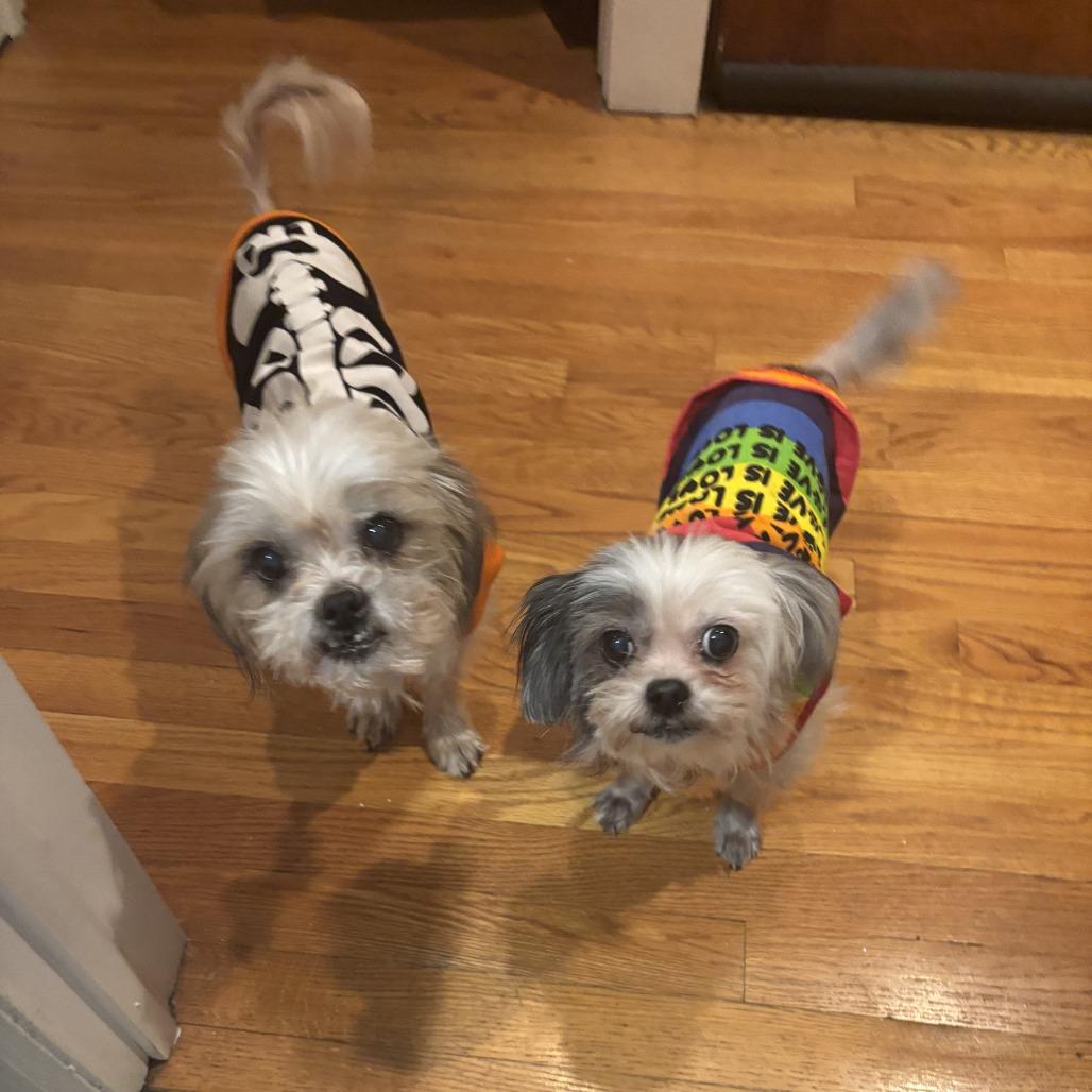 Geno *BONDED WITH ANNA BANANA*