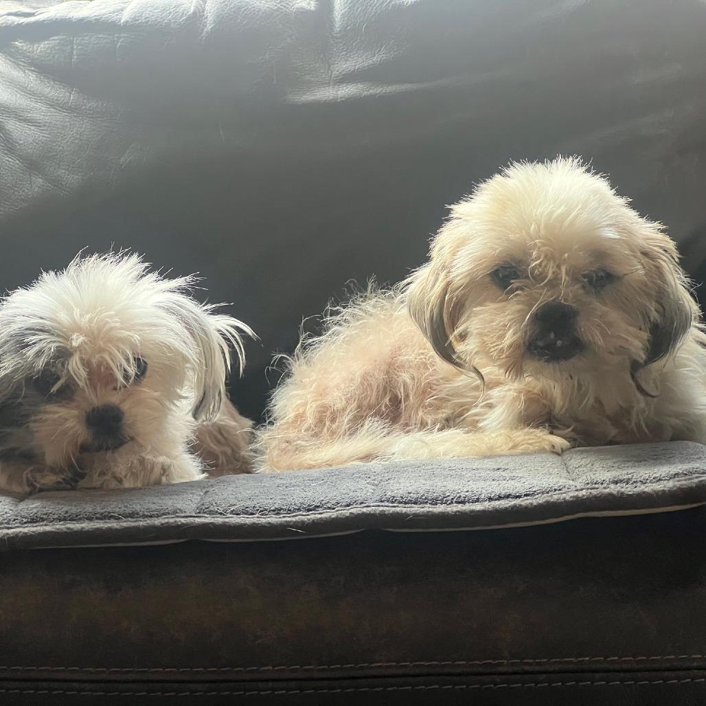 Geno Bonded With Anna thumbnail 4