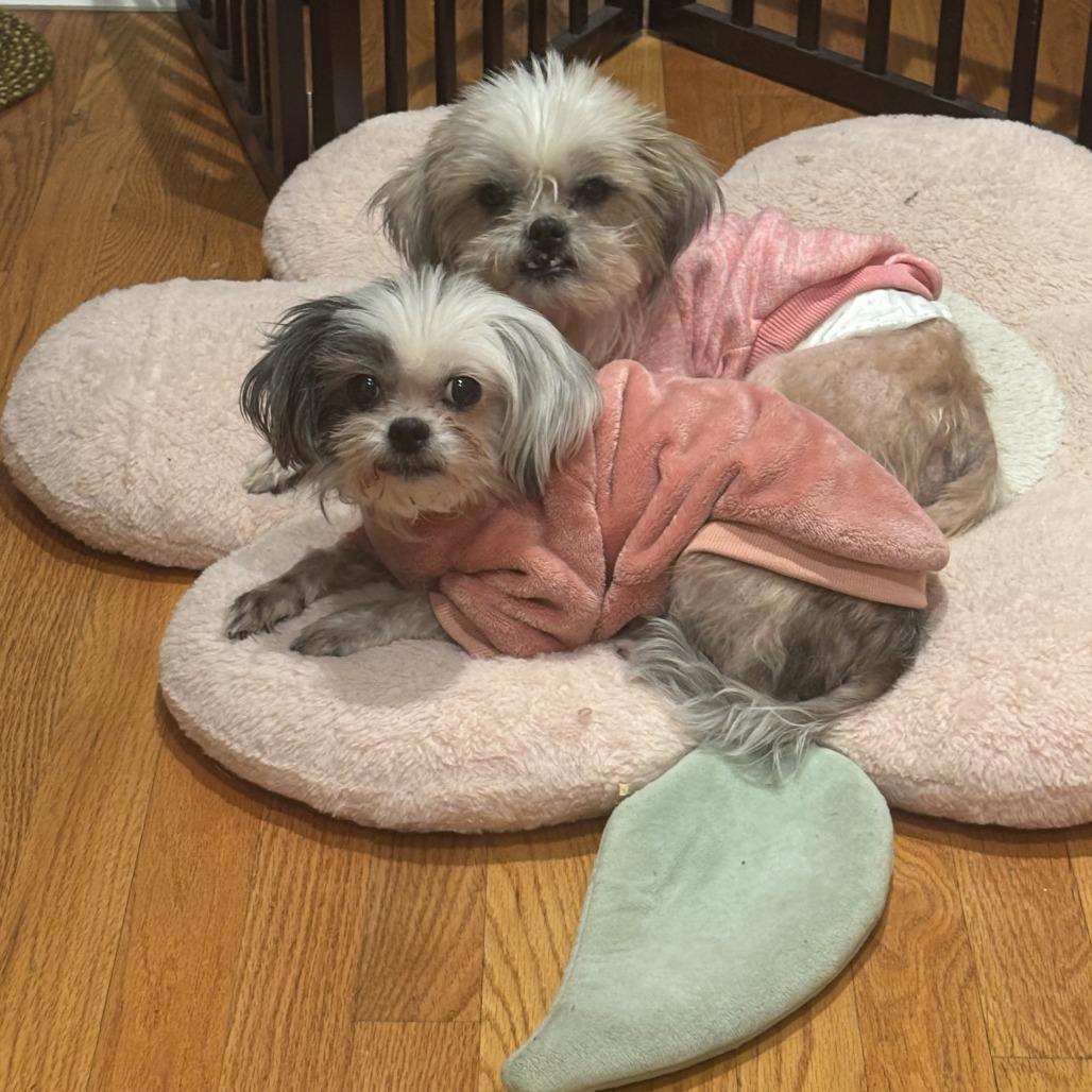 Geno Bonded With Anna thumbnail 5