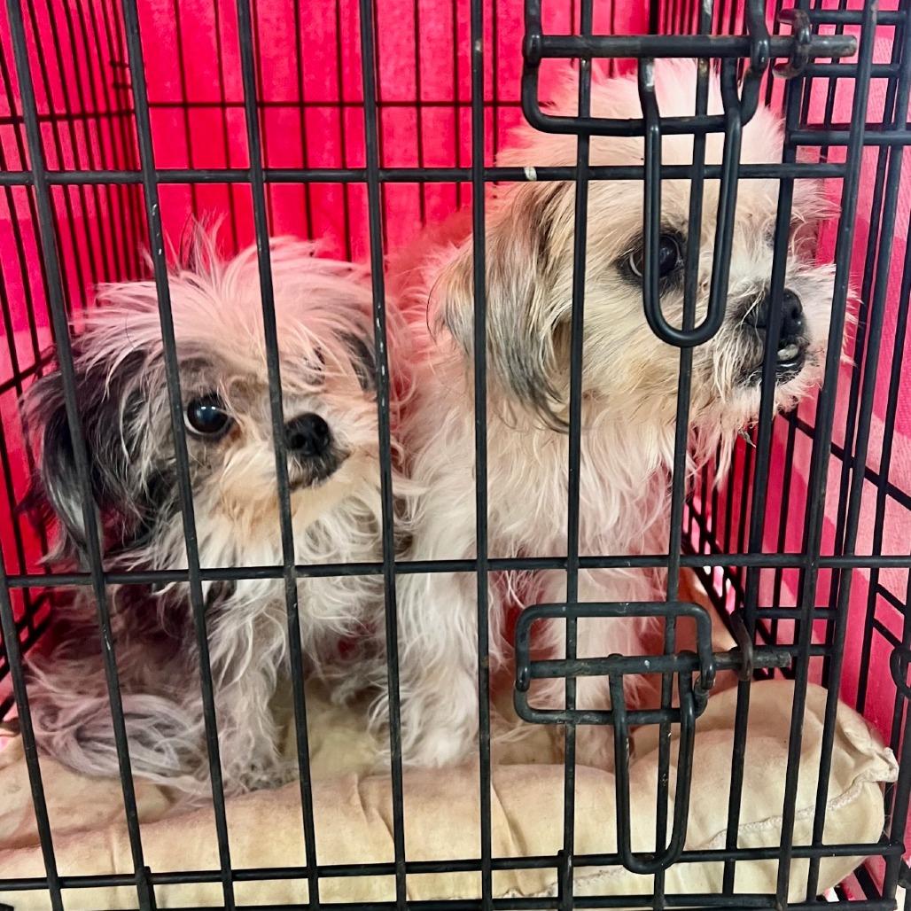 Geno Bonded With Anna thumbnail 6