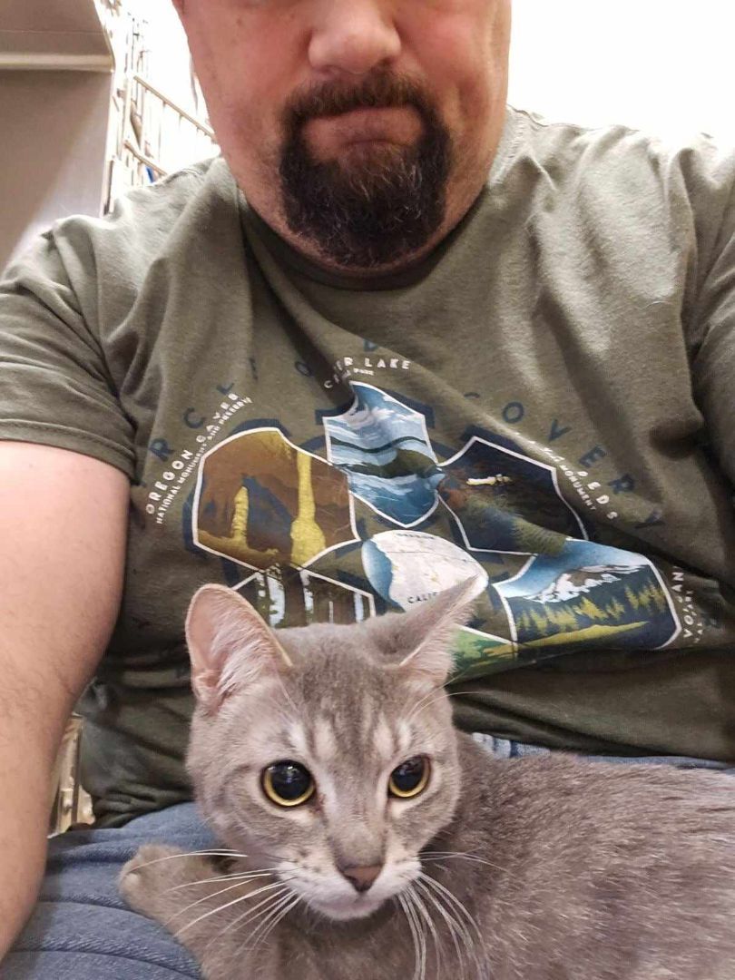 MERCEDES GARDNER, a Adoptable mixed breed in HEMET, CA image 4/6