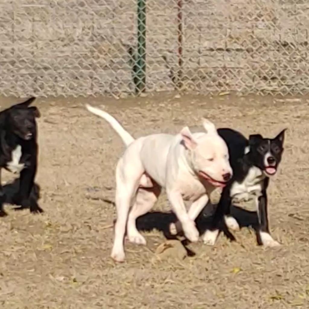 Max Cooper — thumbnail 4