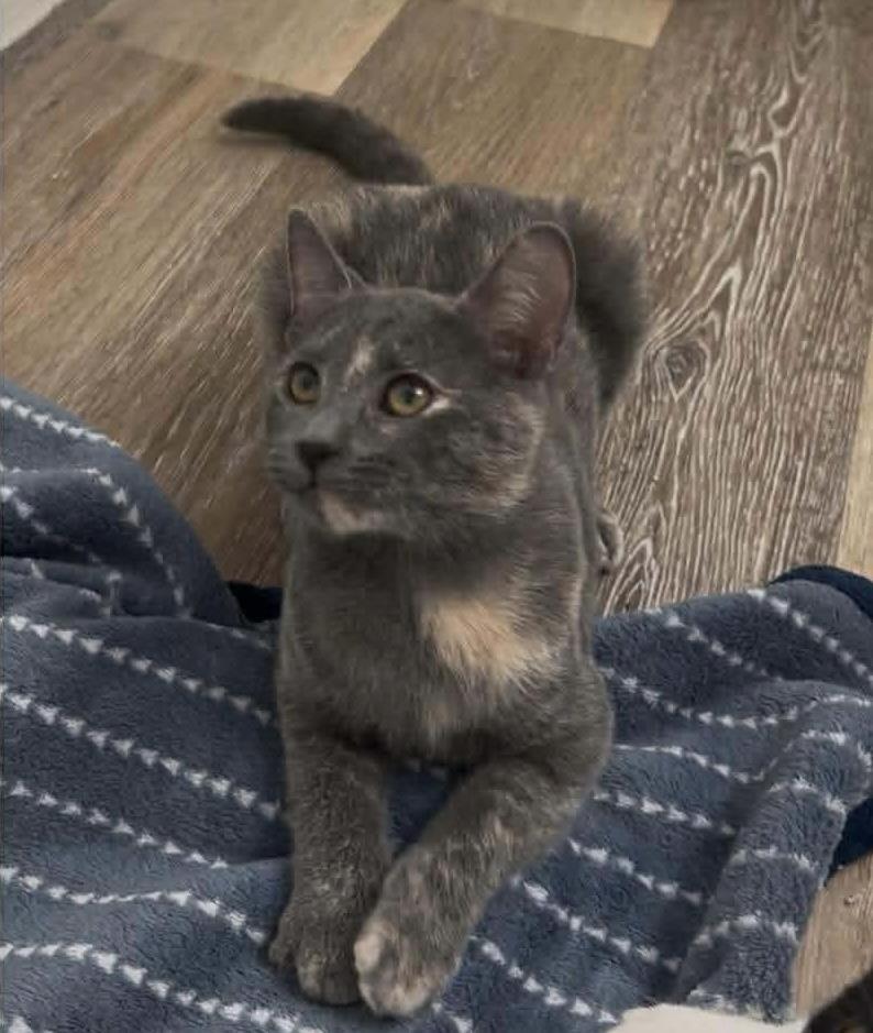 Morticia Bush thumbnail 3