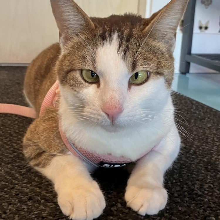 Edna photo