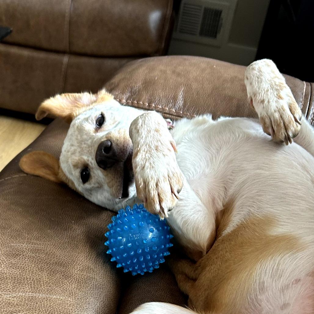 Daisy — thumbnail 6