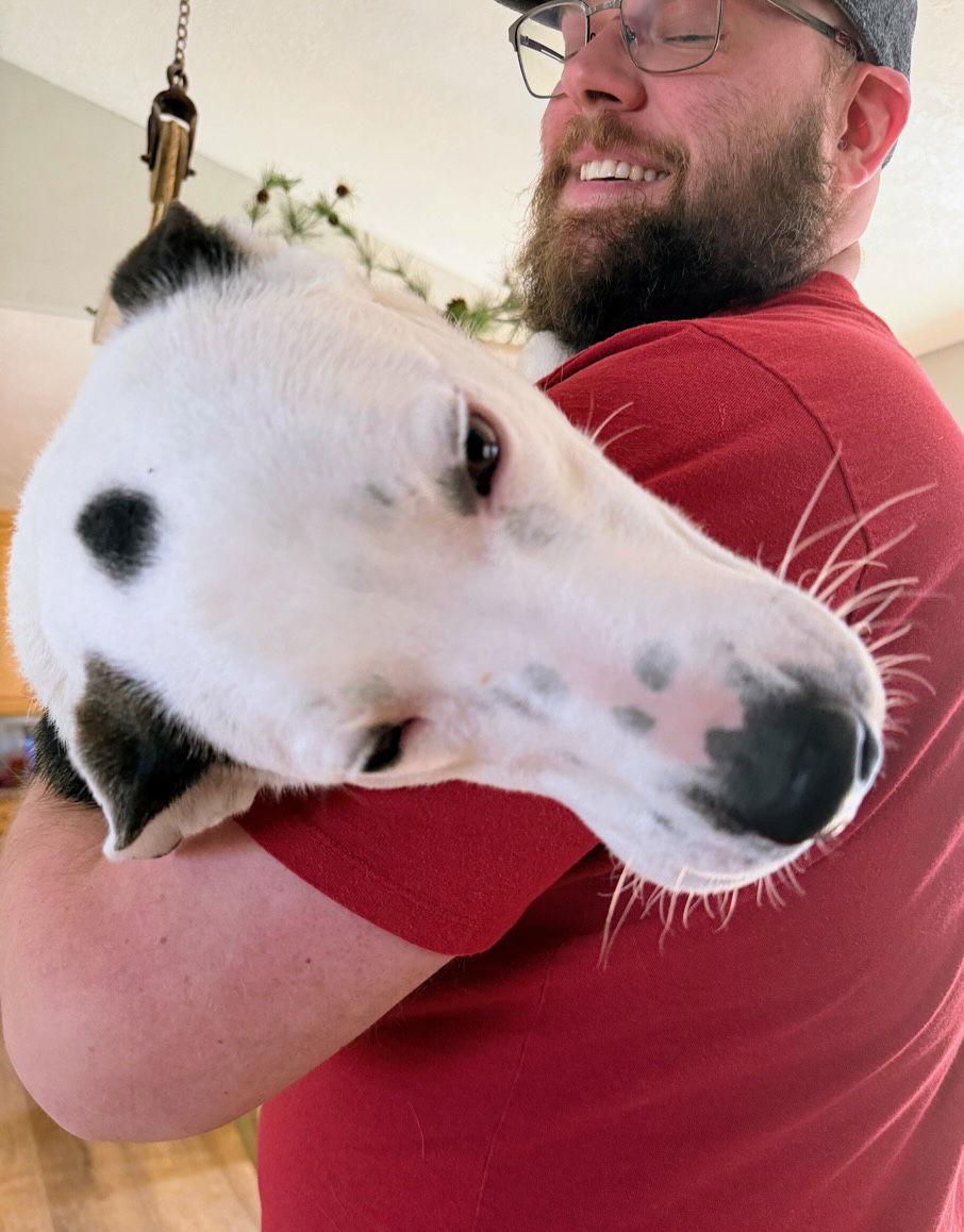 Enlarge Ily, a Adoptable mixed breed in Salt Lake City, UT image 1/3