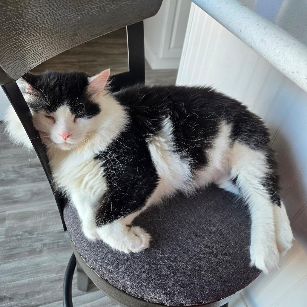 Jasper — thumbnail 4