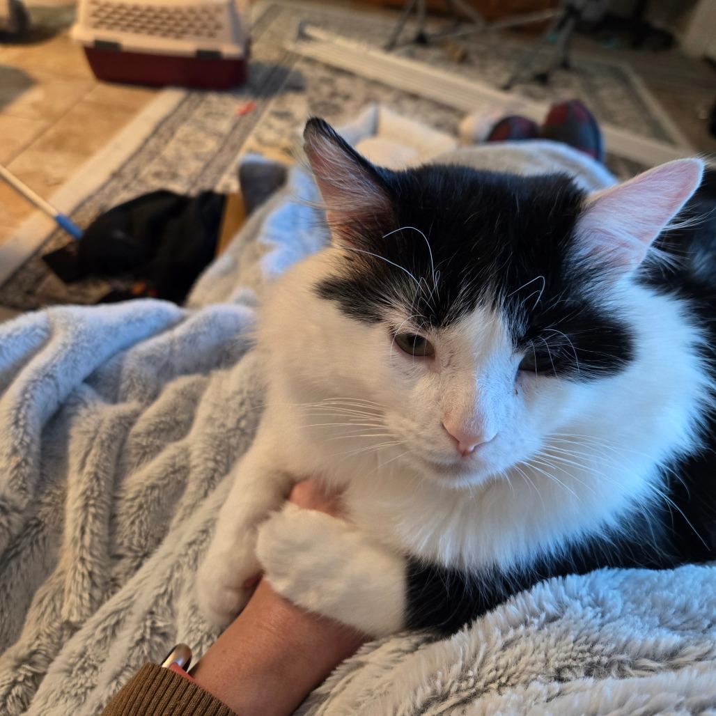 Jasper — thumbnail 5