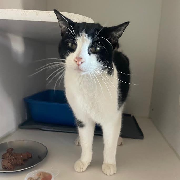 Simon — thumbnail 2