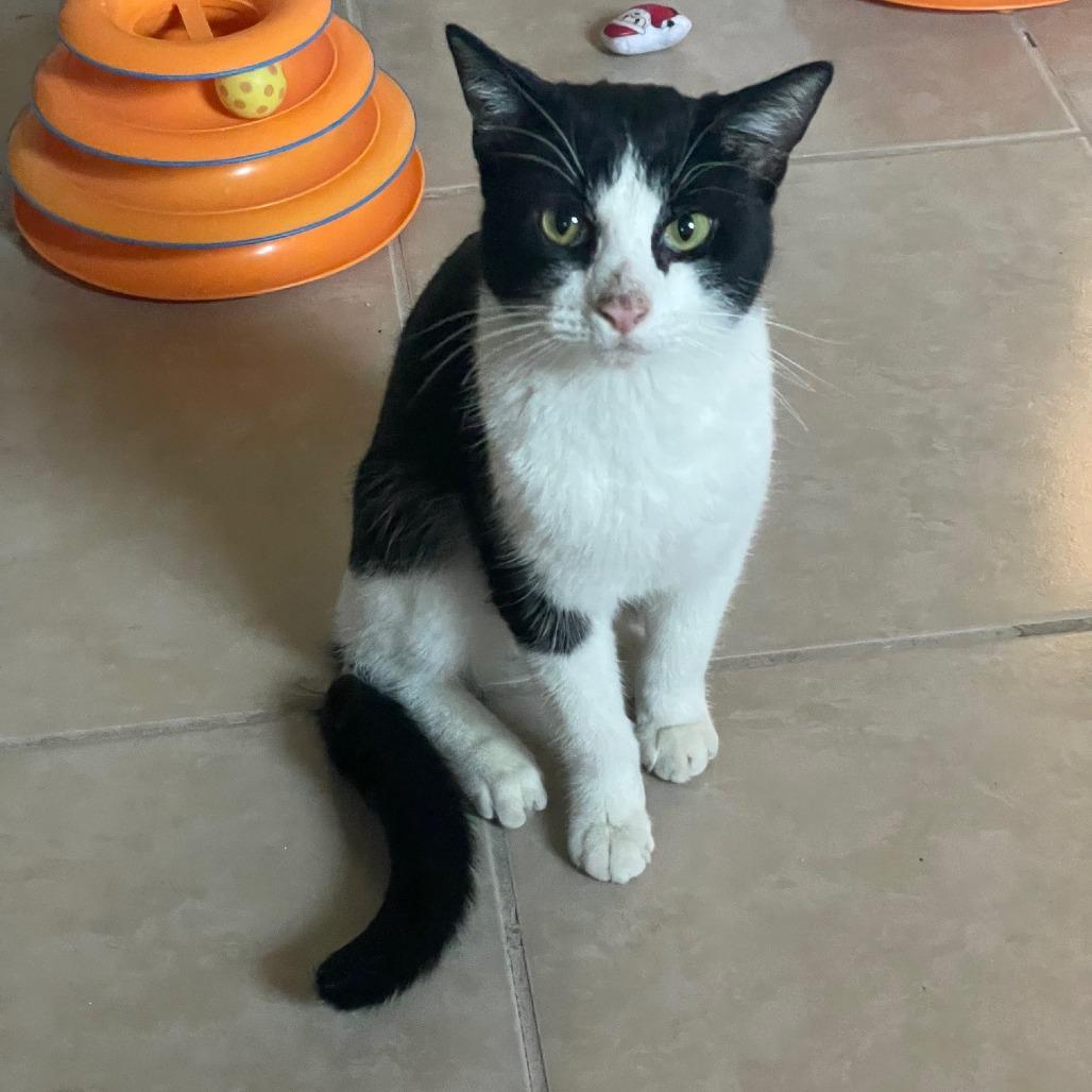 Simon — thumbnail 3