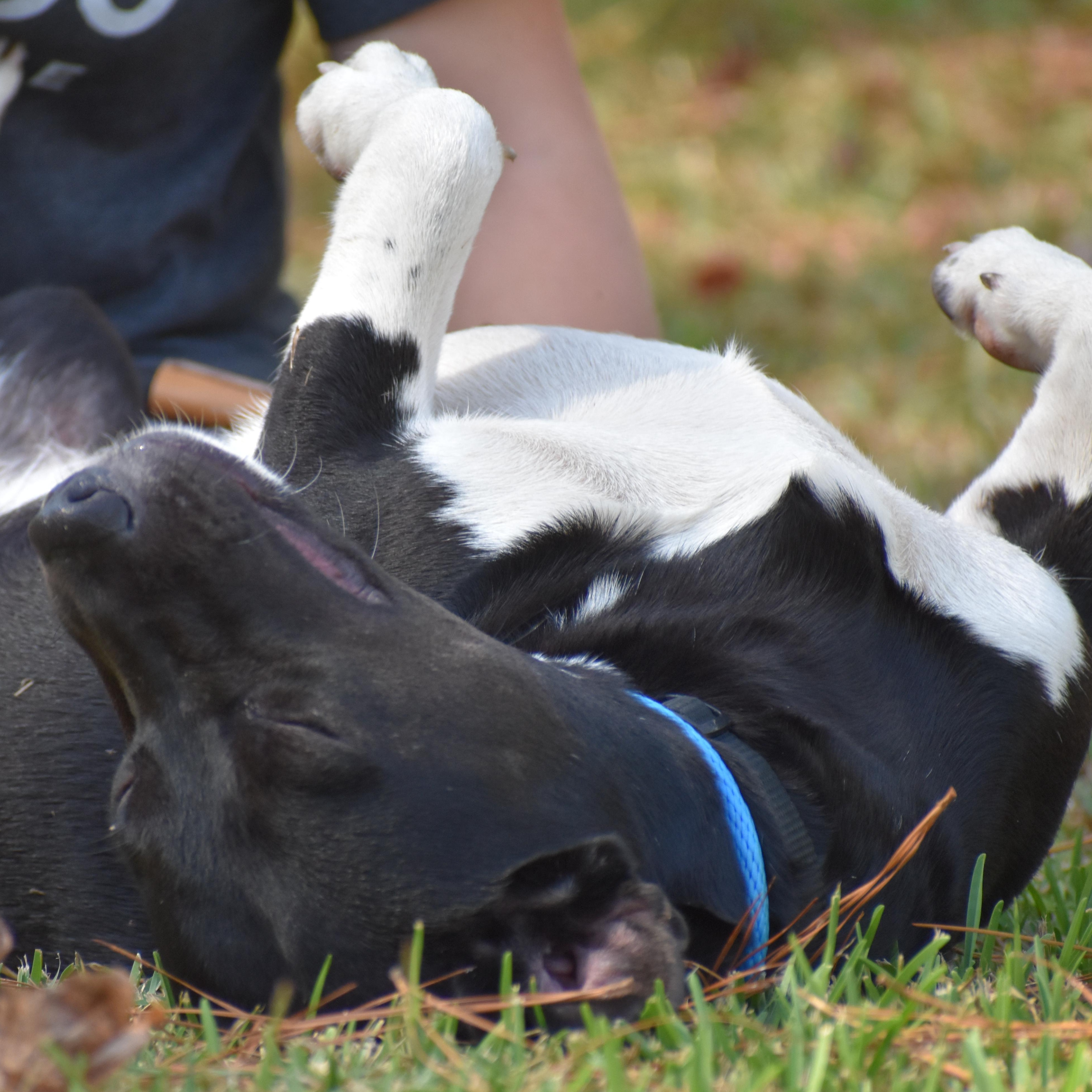 Mia Hamm thumbnail 2