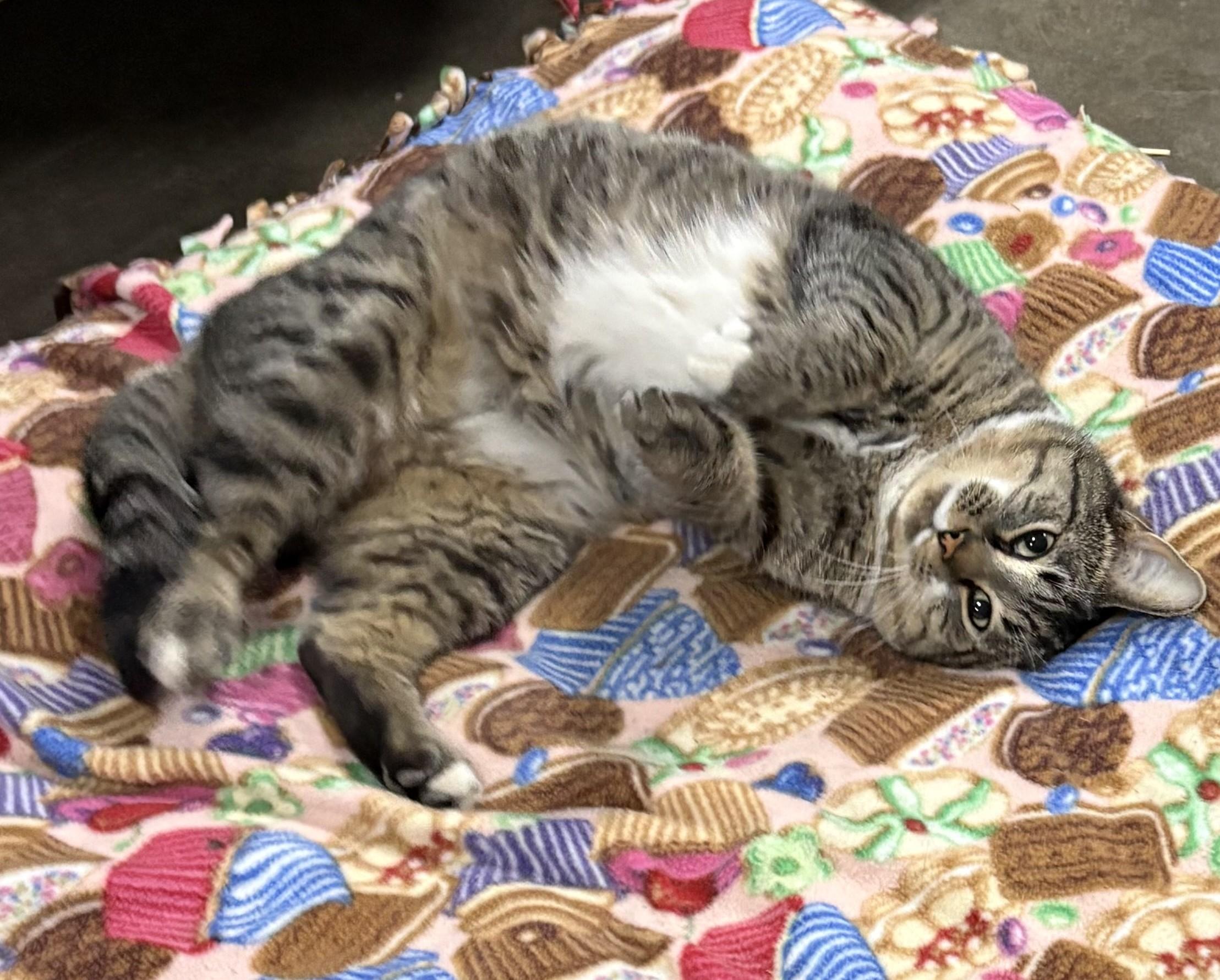 Farley — thumbnail 3