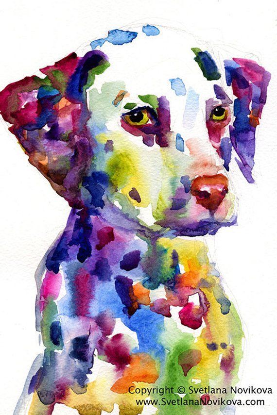 FOSTER Homes Needed, a Adoptable Dalmatian in San Diego, CA image 1/2