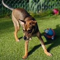 John Boy — thumbnail 3