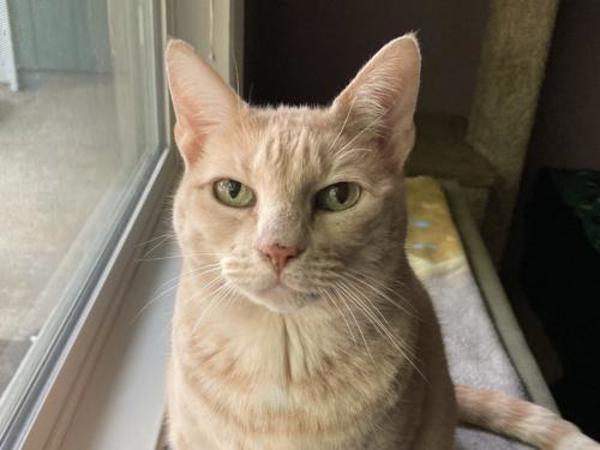 Ruby — thumbnail 2