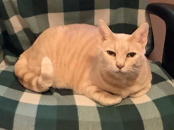 Ruby — thumbnail 3