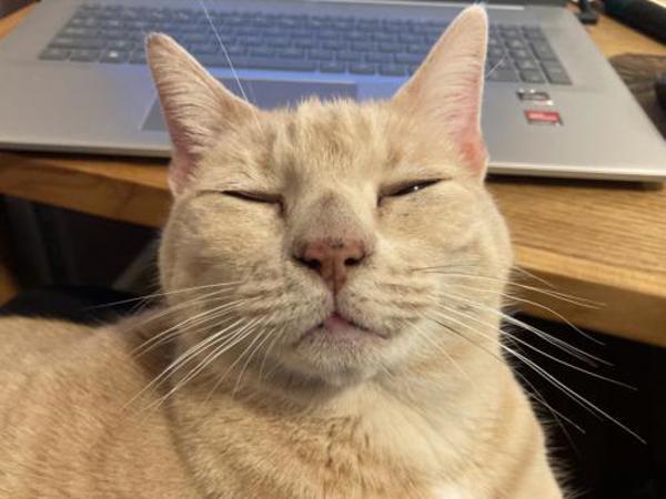 Ruby — thumbnail 4