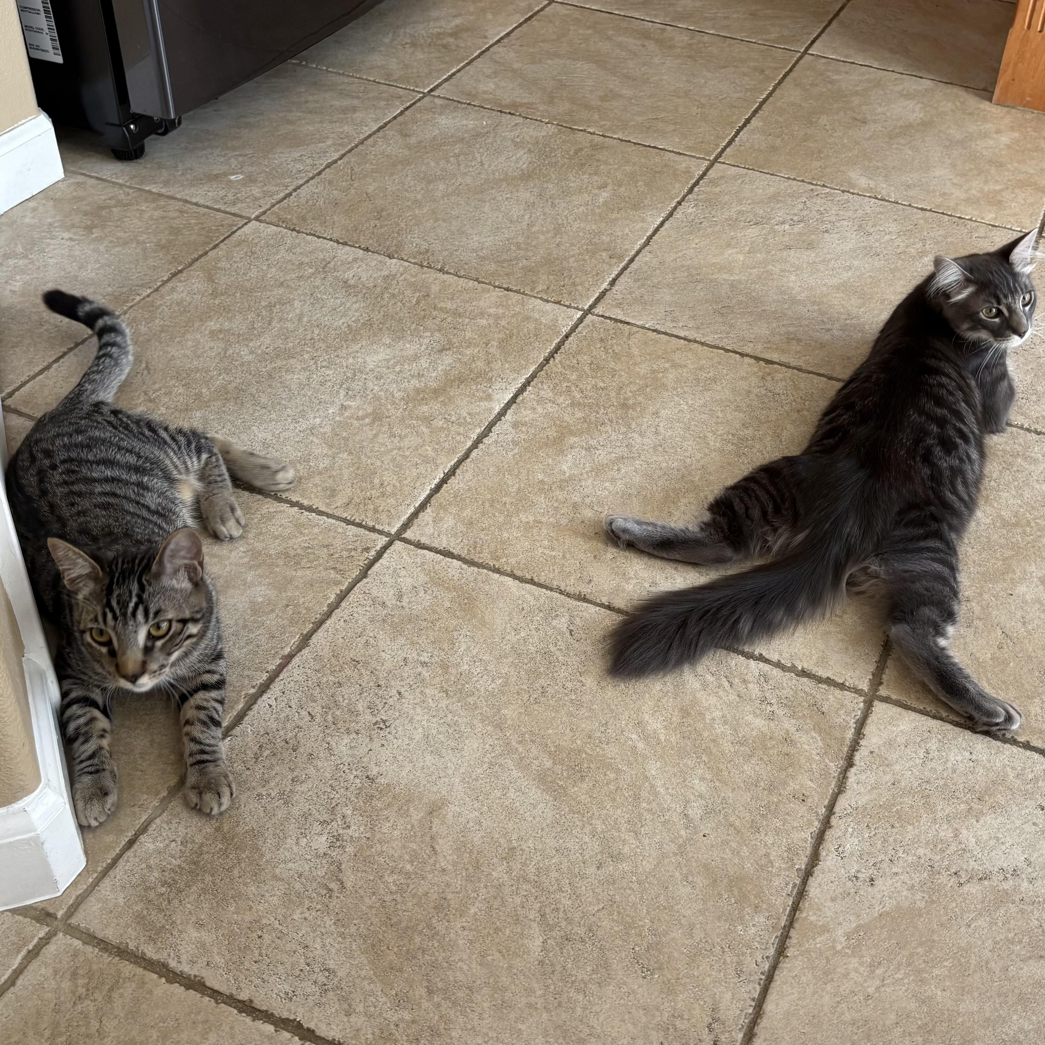 Lilac and Jonquil INDOOR ONLY — thumbnail 4