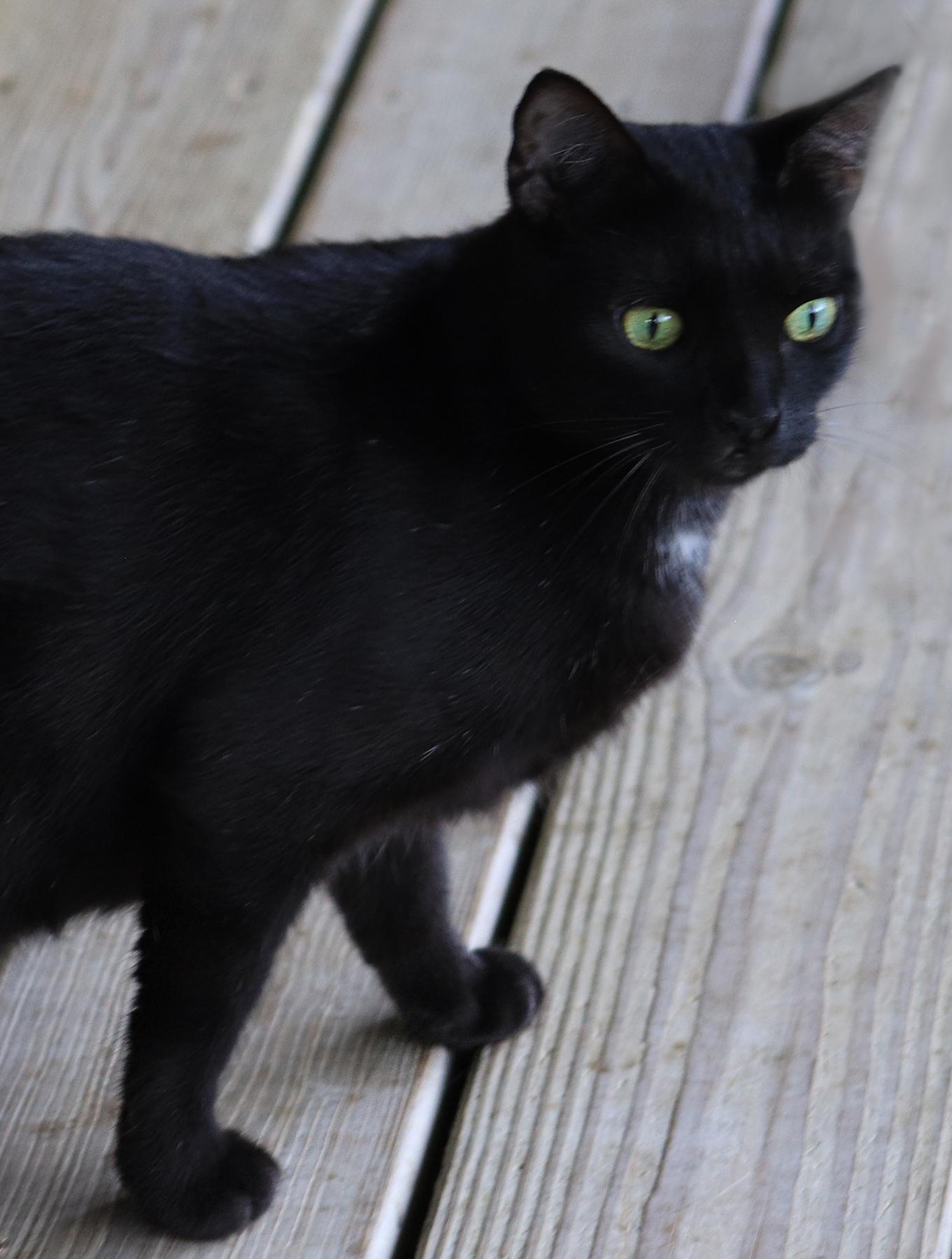 Jade