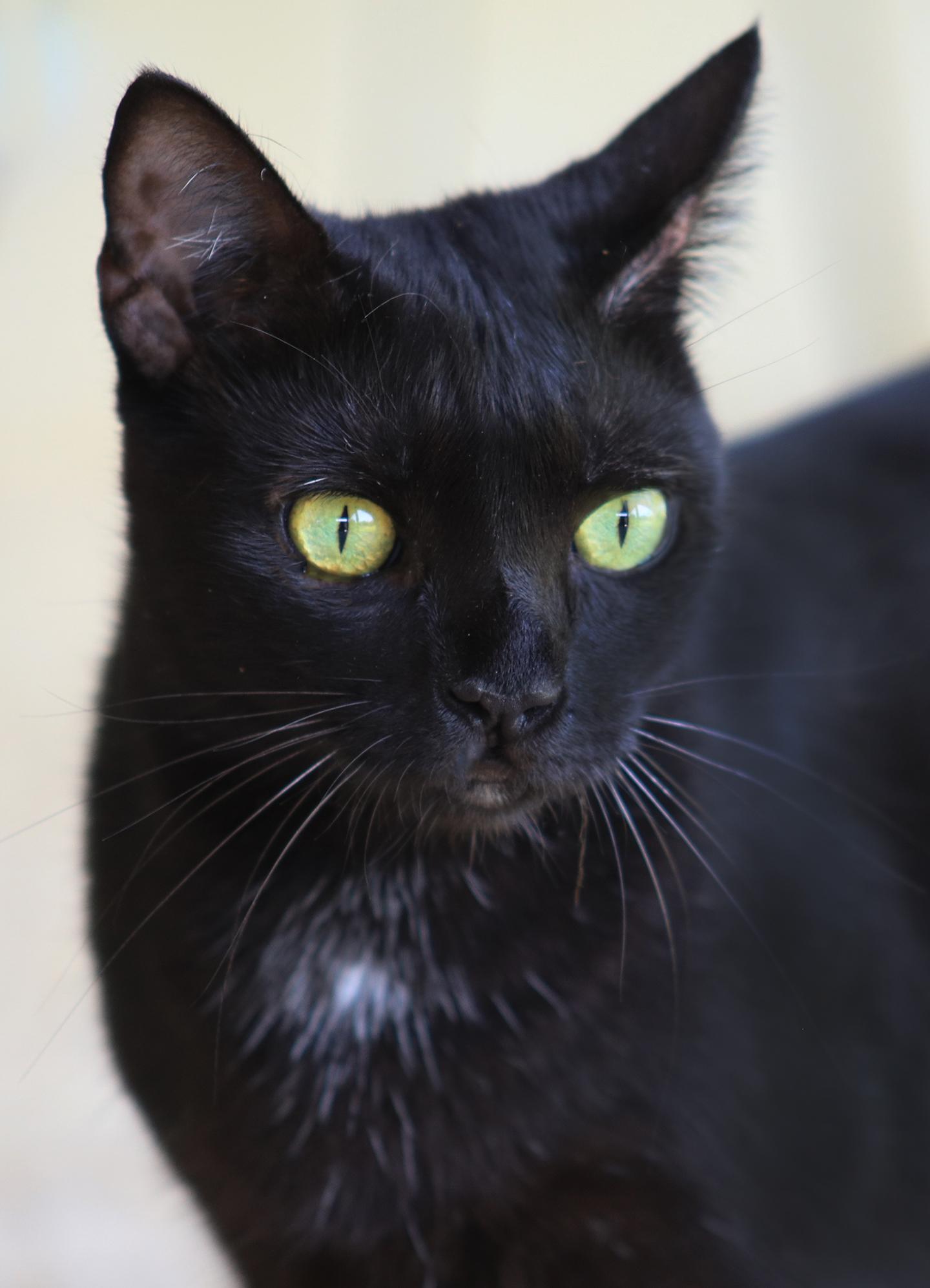 Jade