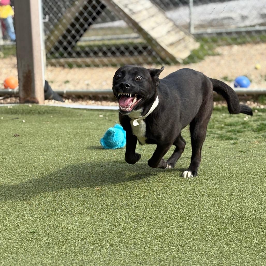 Missy — thumbnail 3