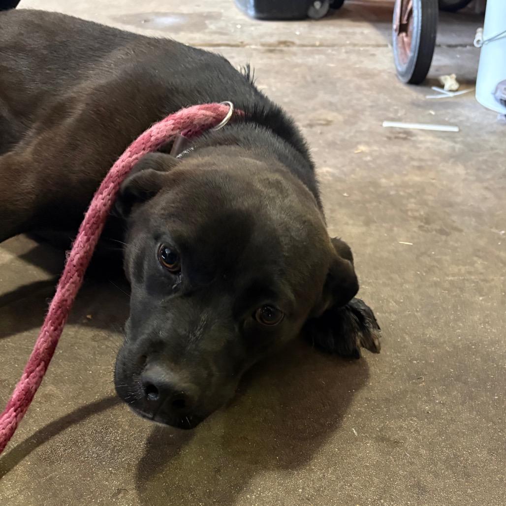 Missy — thumbnail 5