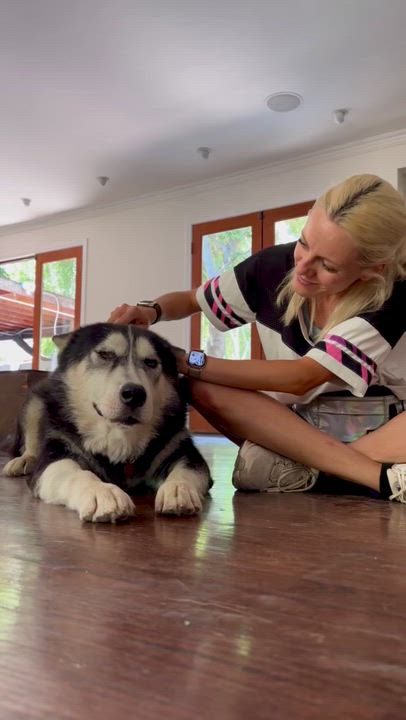 Enlarge Zev, an adopted mixed breed in Harbor City, CA video 5/5