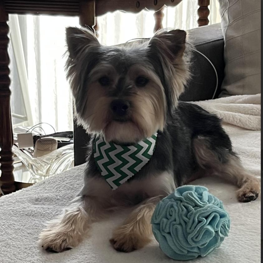 Benji