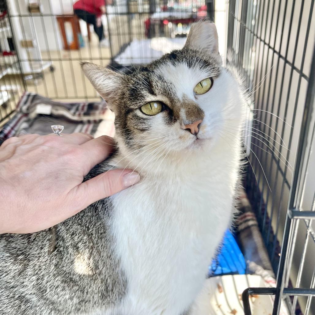 Mulan — thumbnail 2