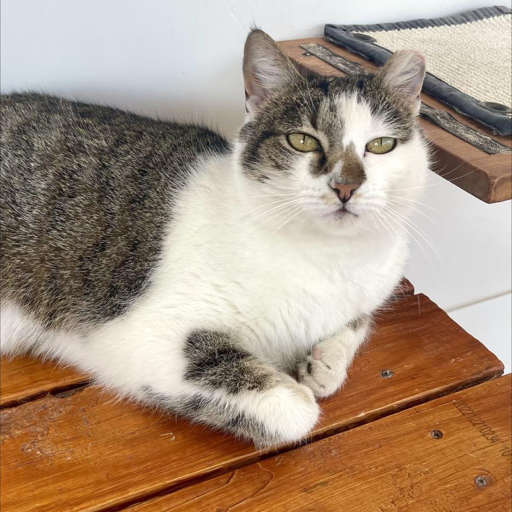 Mulan — thumbnail 3