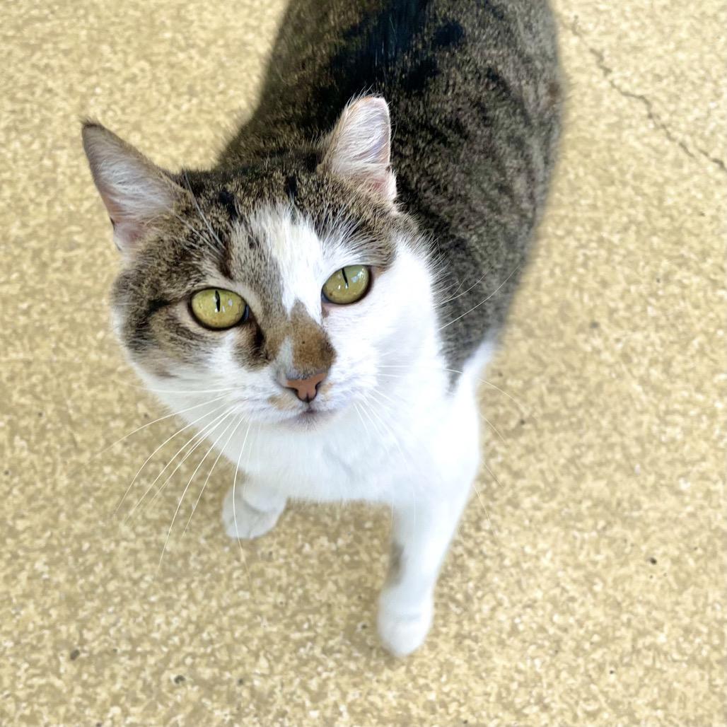 Mulan — thumbnail 4