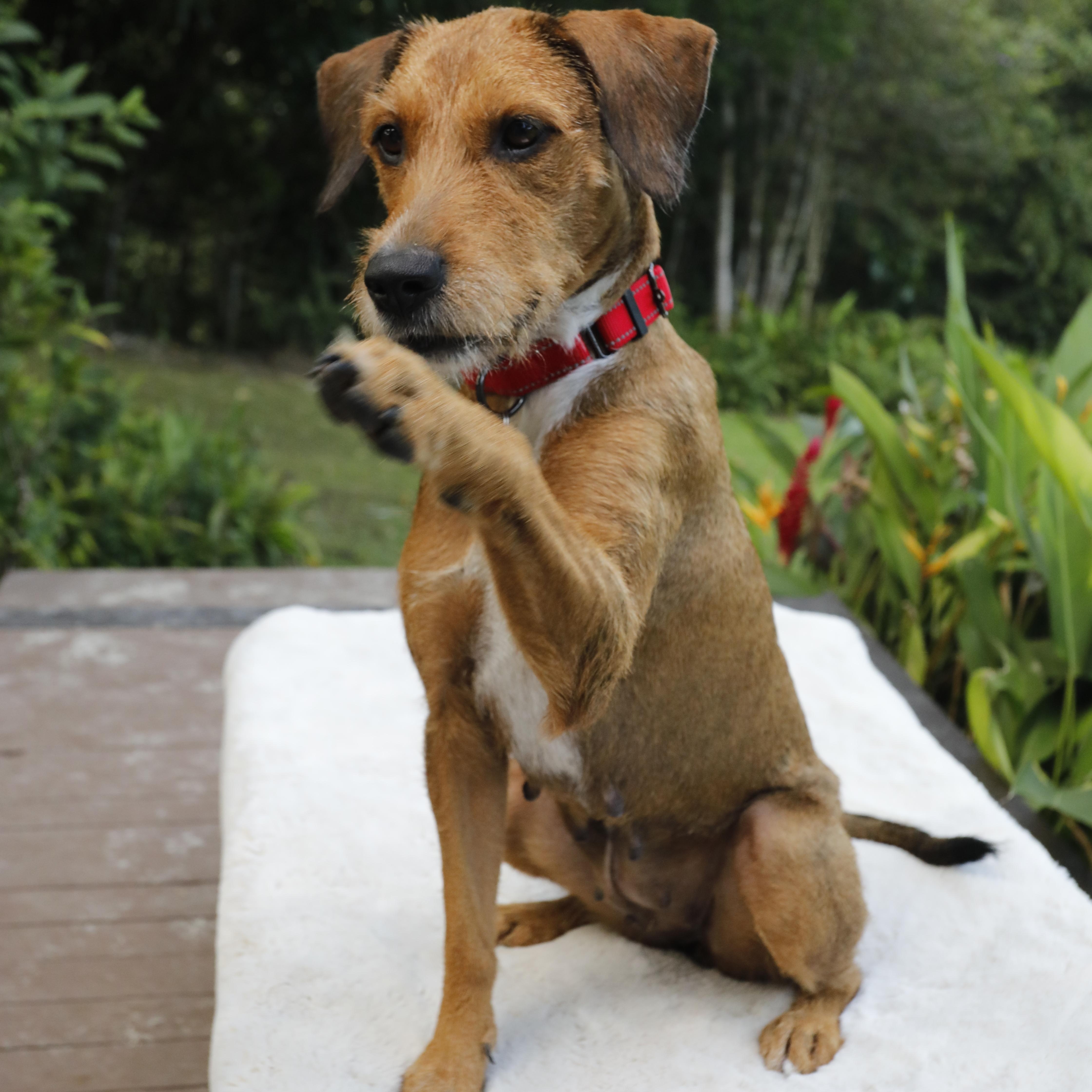 Harper: She Is Outstanding thumbnail 5