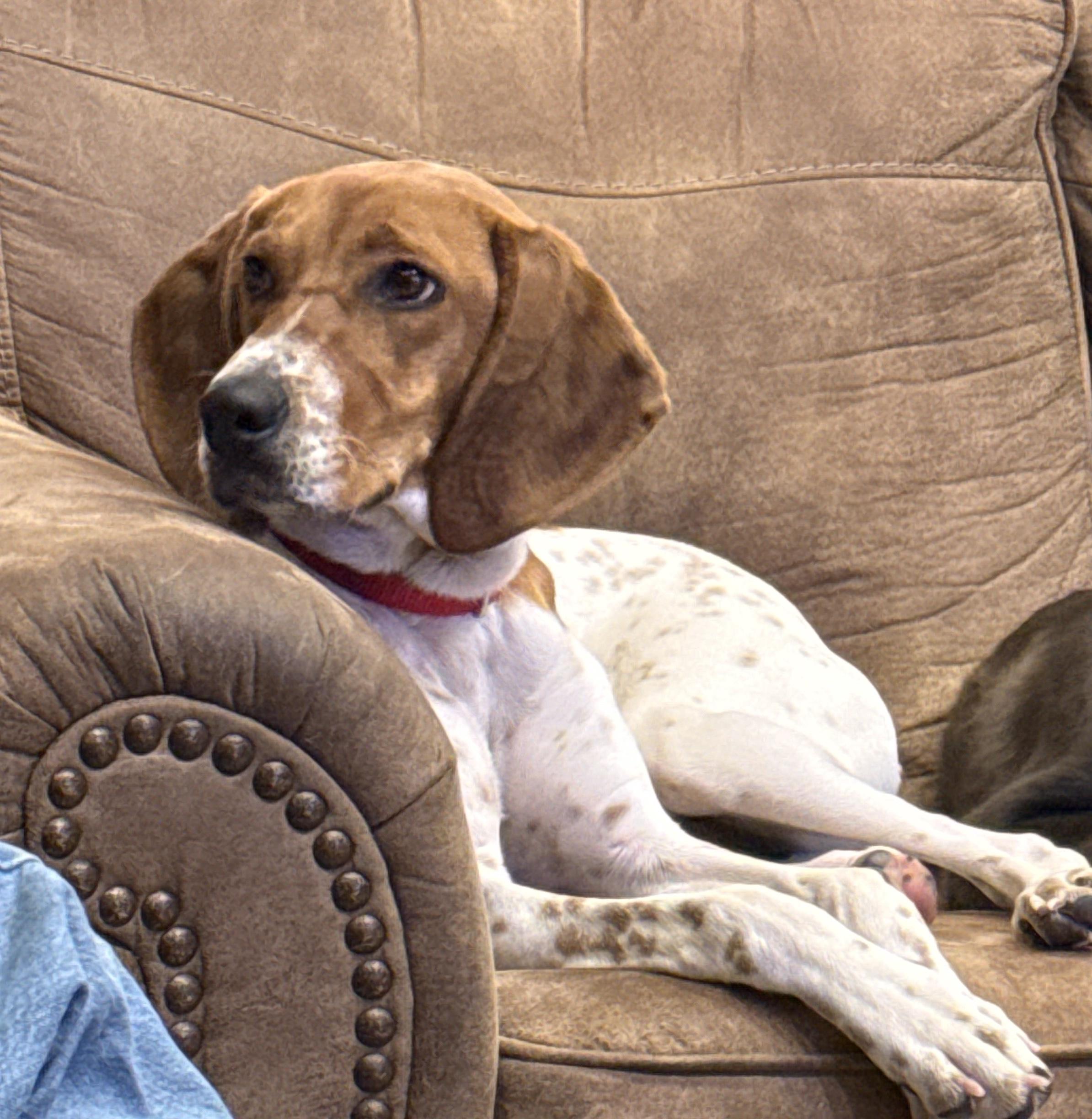 Keiko — thumbnail 2