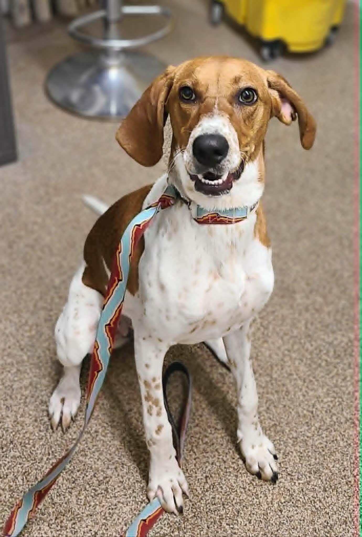 Keiko — thumbnail 3