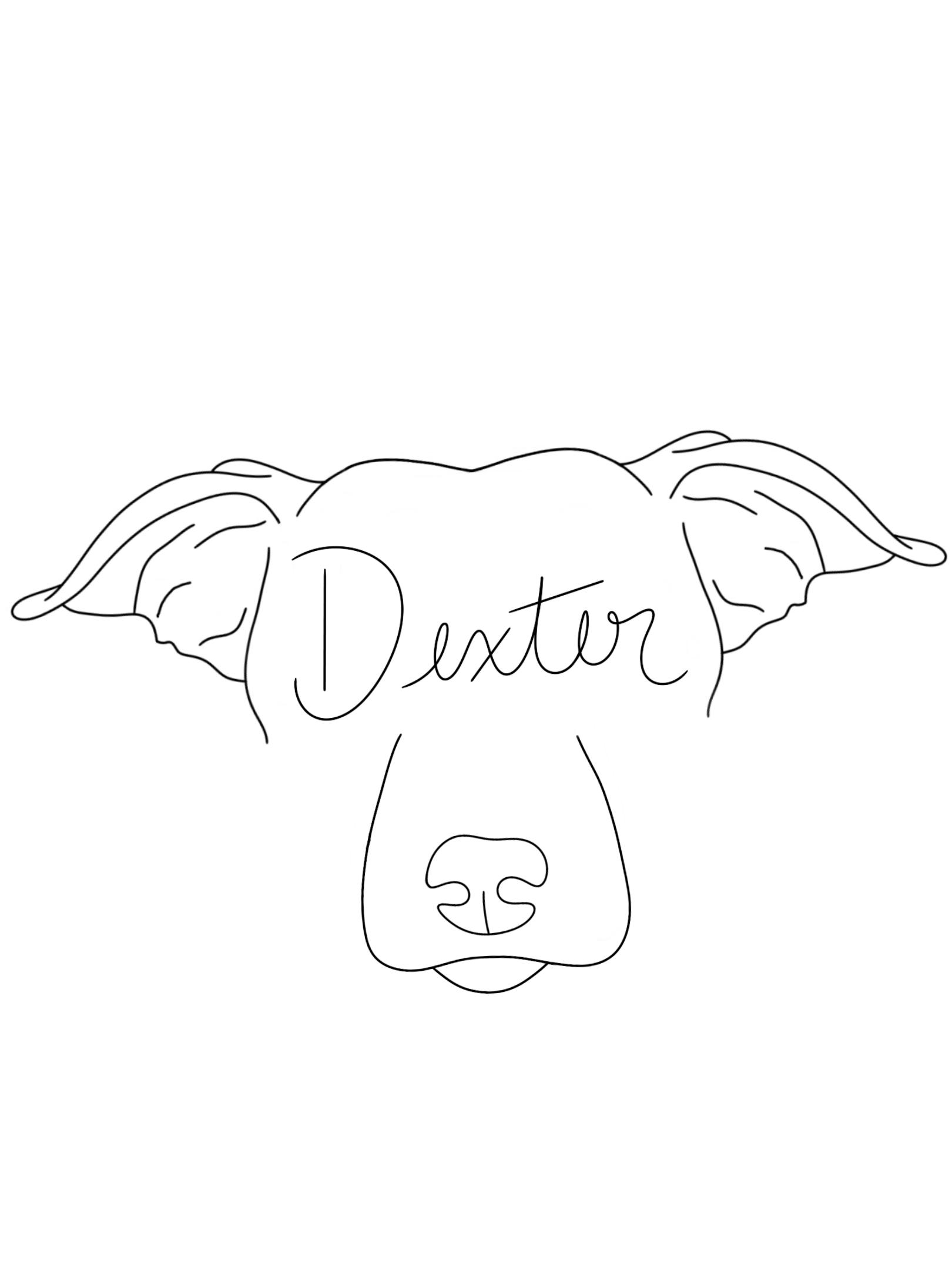 Dexter, a Adoptable Chiweenie in Eustis, FL image 2/5