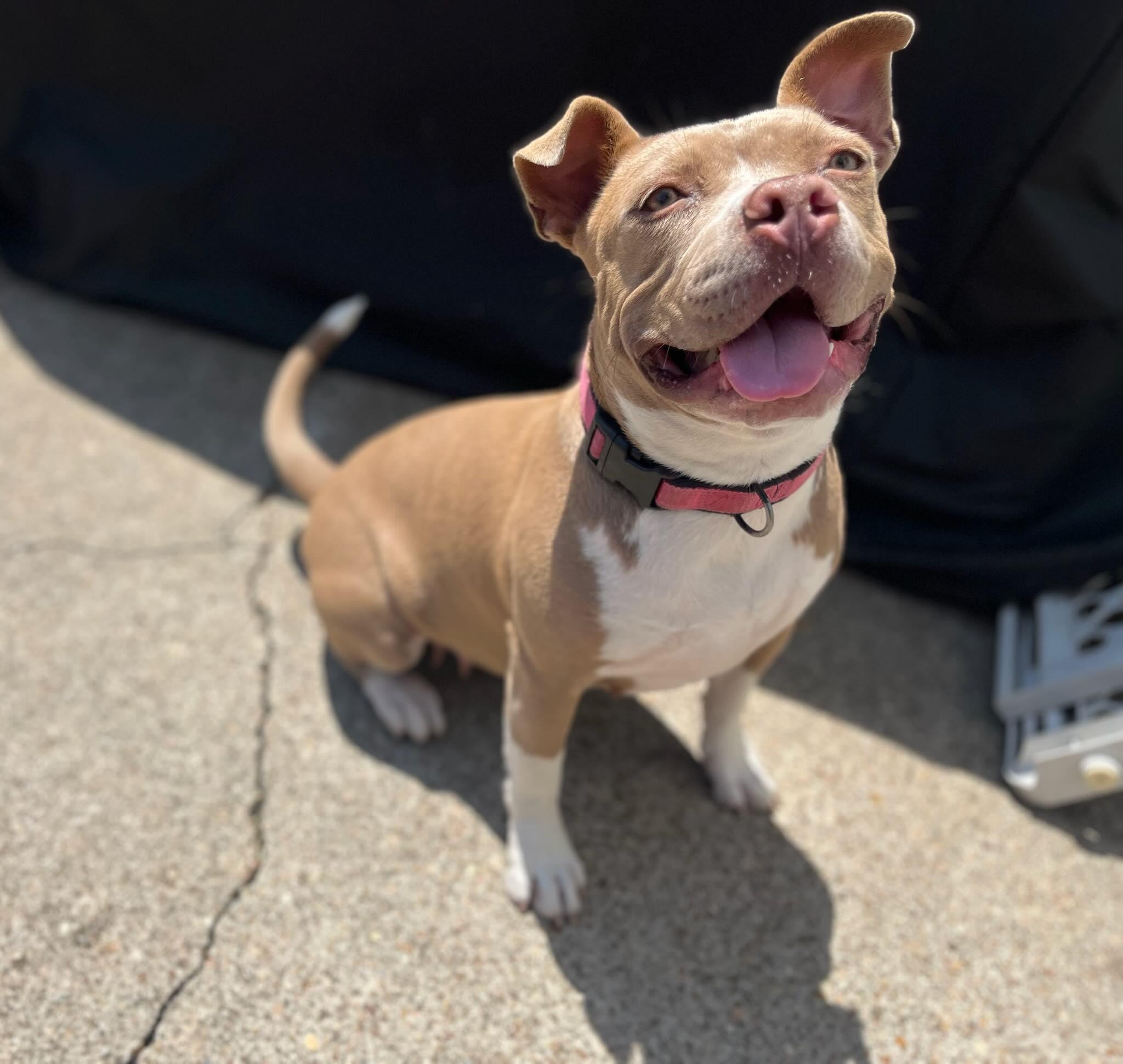 Misty — thumbnail 2