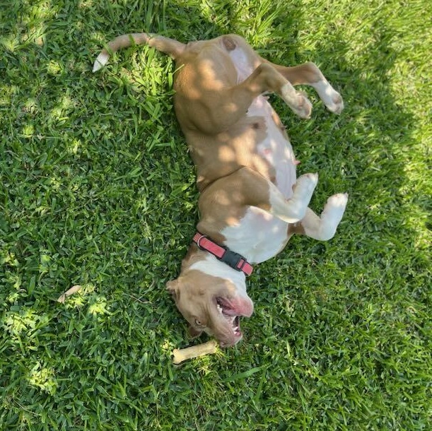 Misty — thumbnail 5