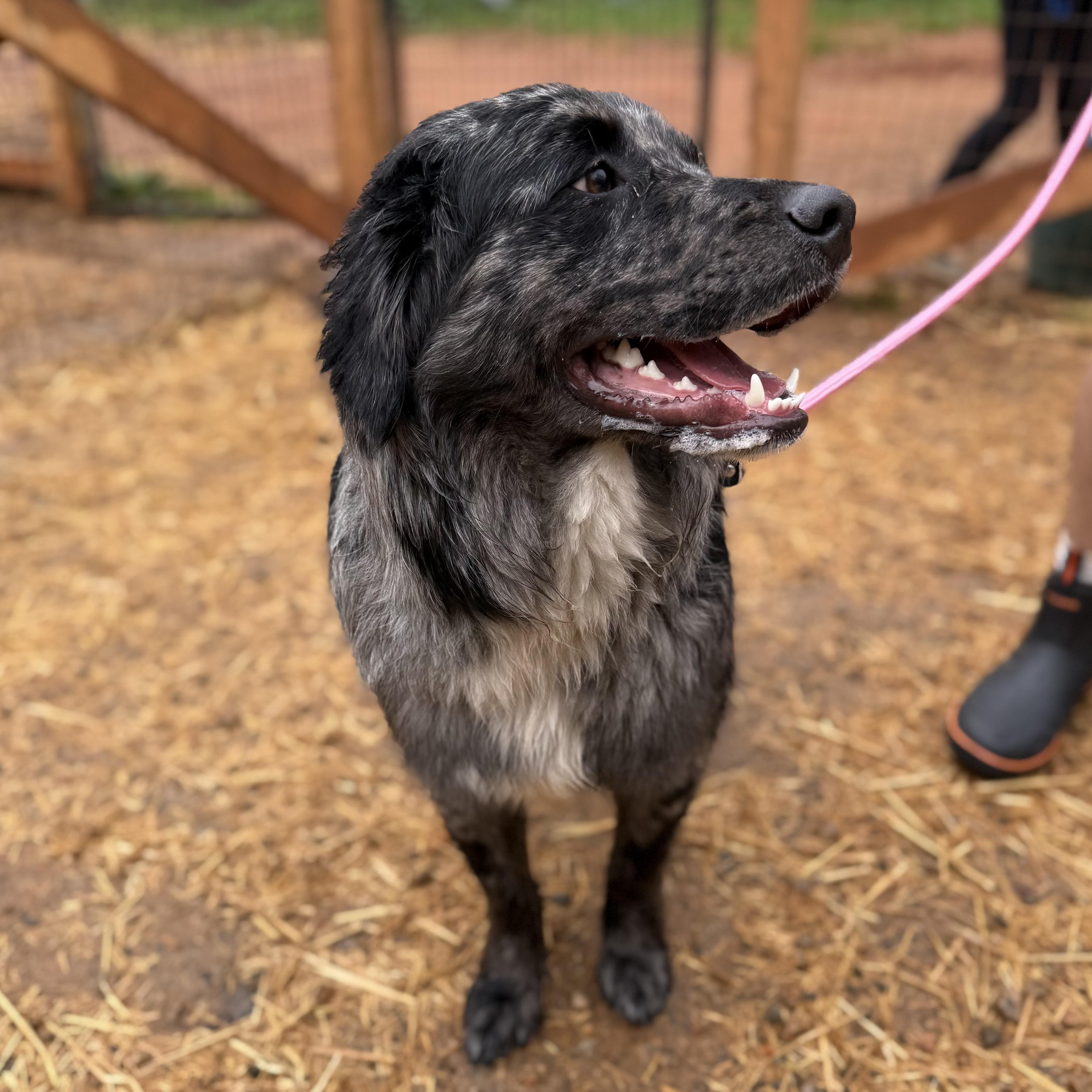 Fridge — thumbnail 3