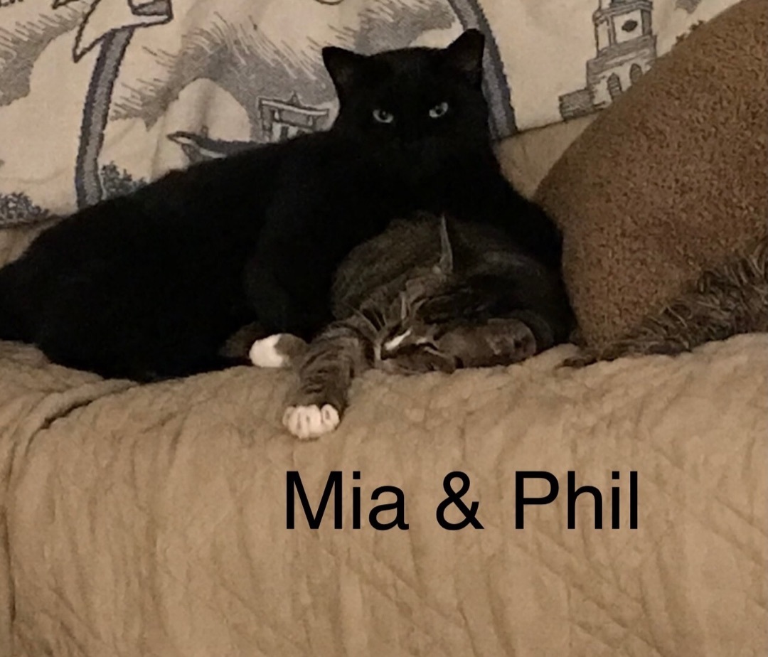 Mia Rose photo 4