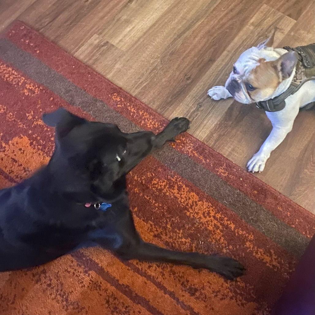 Nova Cora — thumbnail 3