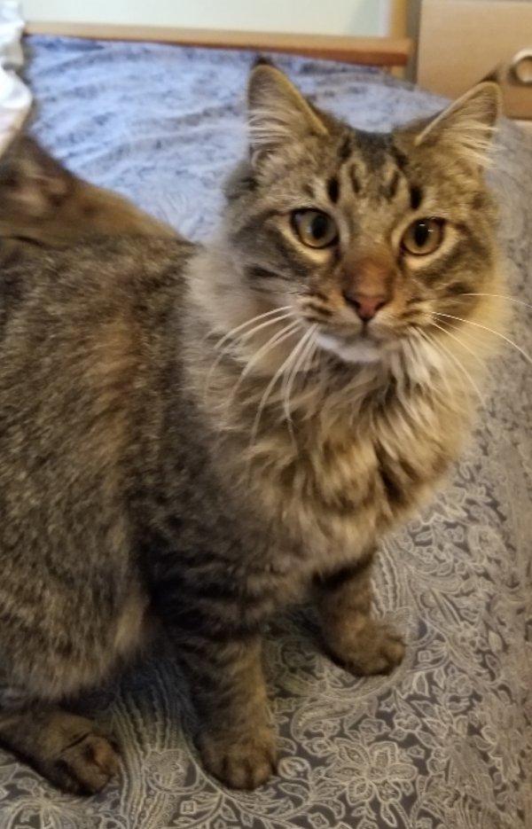 Mr. Bubblegum thumbnail 2