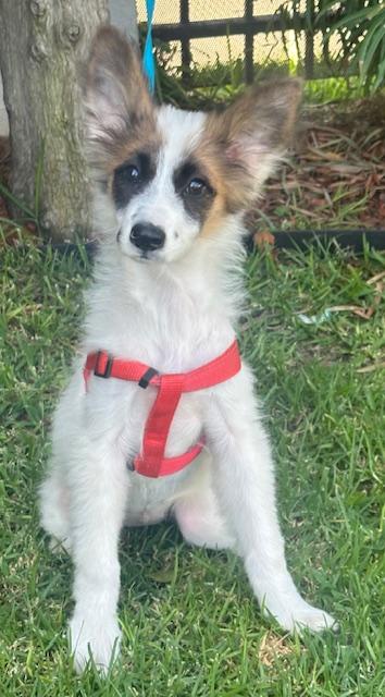 LUCY