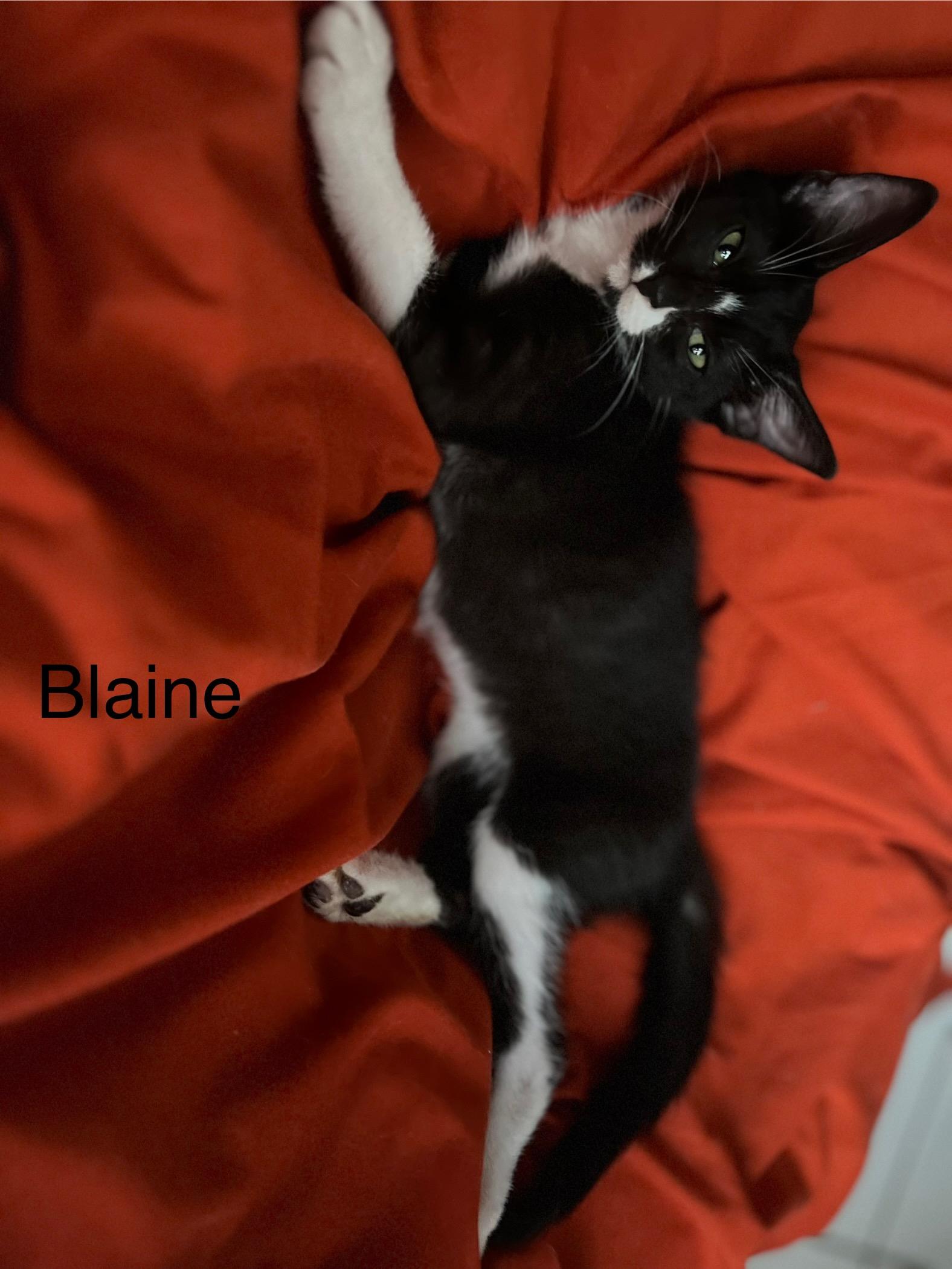 Blaine