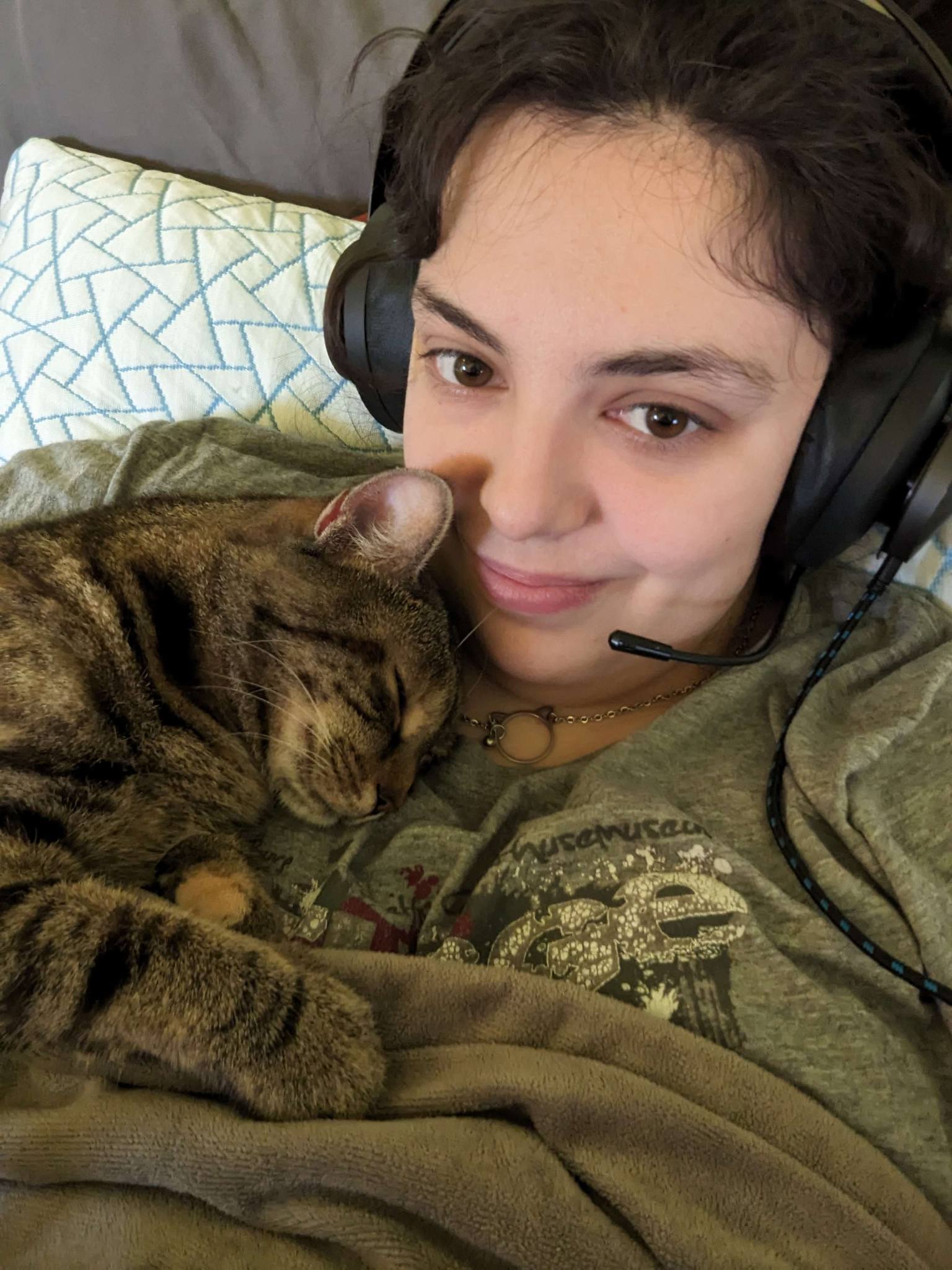 Pumpkin, a Adoptable Domestic Short Hair in Landenberg, PA image 2/6